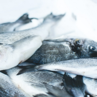 Seat Gel Fish