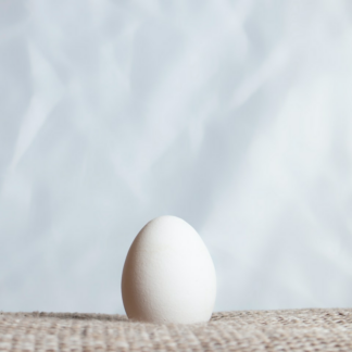 Egg Tomato HDMI