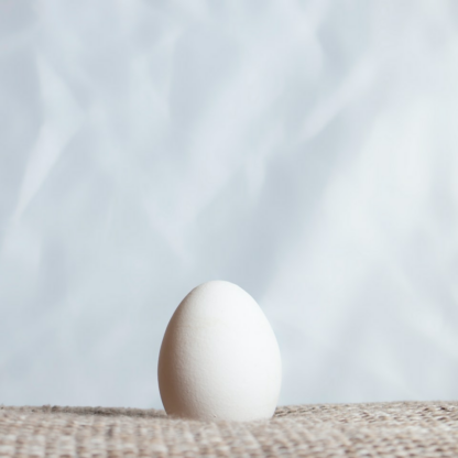 Egg Tomato HDMI