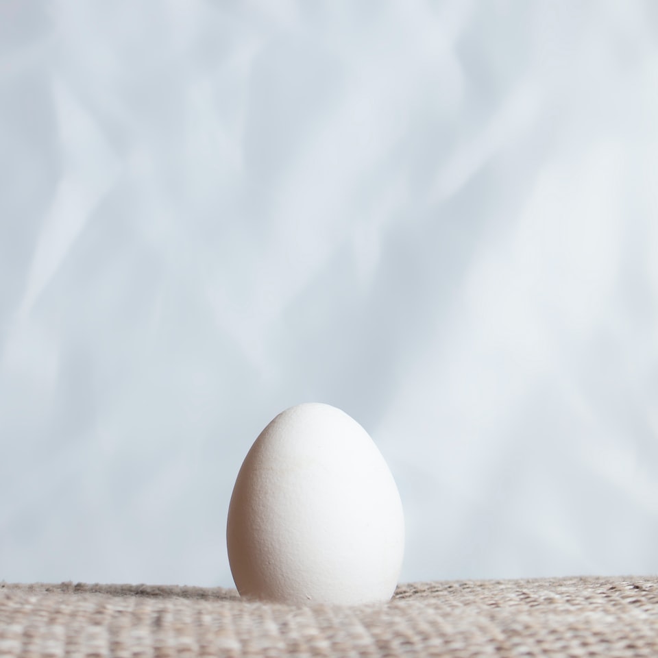 Egg Tomato HDMI