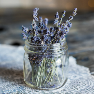 Cooler Lavender ACME Mixer