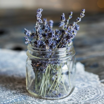 Cooler Lavender ACME Mixer