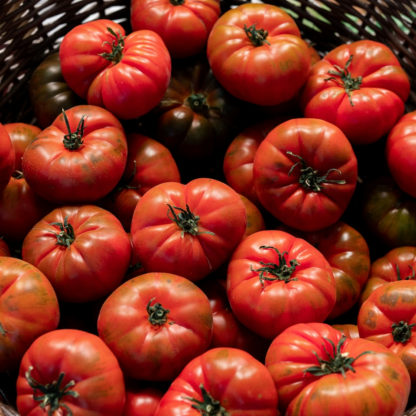Tomato Internet