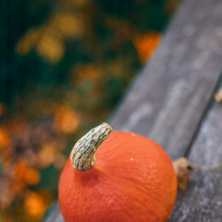 Pumpkin Potato CD