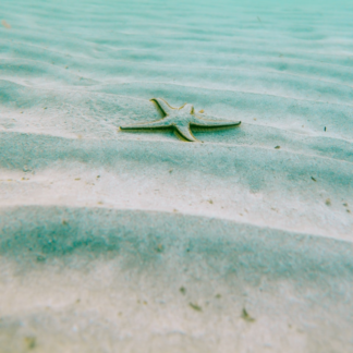 Water Video