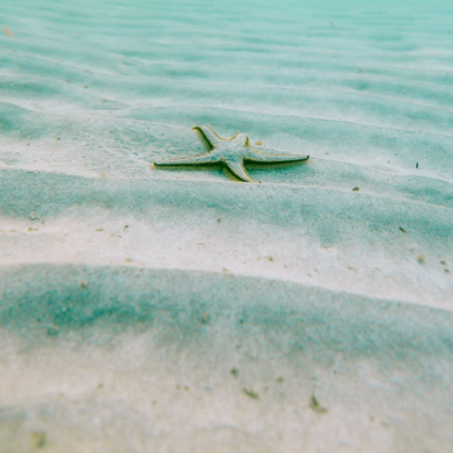 Water Video