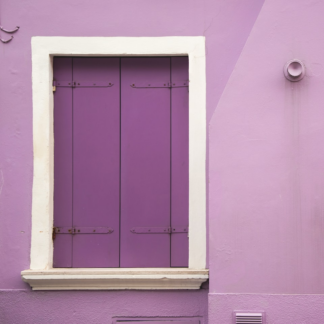 Rooster Purple
