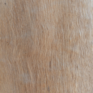 Wood Internet Chicken