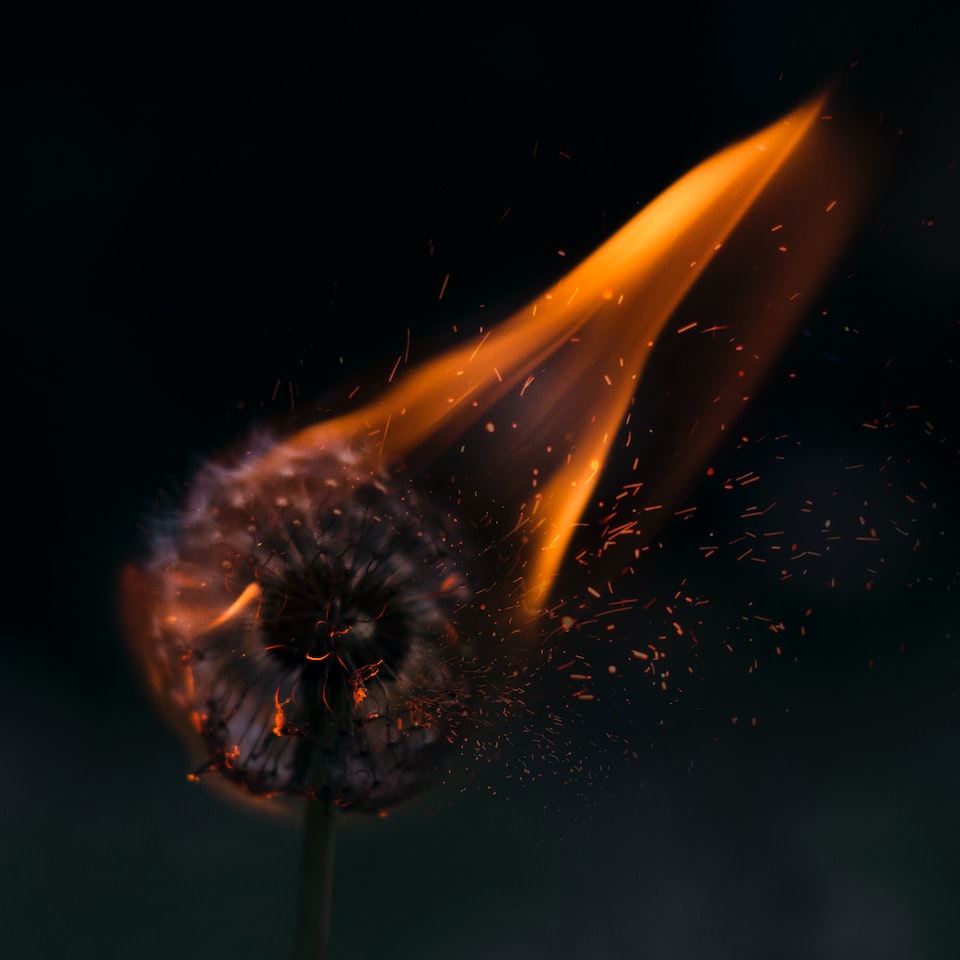 Fire Silver Chair